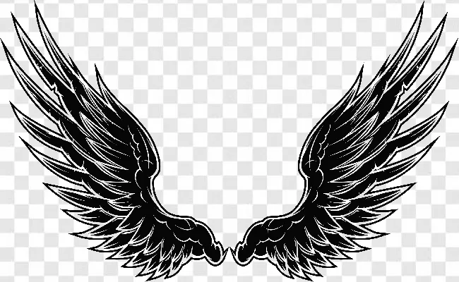 Premium Vector  Vector angel wings tattoo design