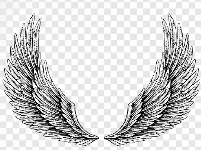 Wings-tattoo-png-download-image-transparent-background-breast Transparent  Background Free Download - PNGImages
