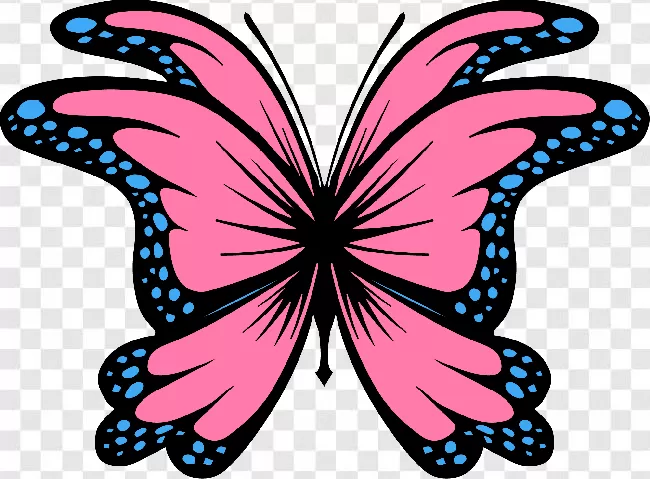 Pink And Black Butterfly, Pink Flowers Euclidean Graphy, Pink Fresh  Butterfly, Brush Footed Butterfly, Patterns Png Transparent Background Free  Download - PNGImages