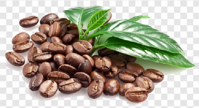 Coffee Background Png Transparent Background Free Download - PNGImages