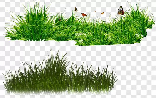 Grass Png Background Download Transparent Background Free Download -  PNGImages